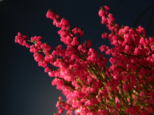 680272 (a): :2560x1920